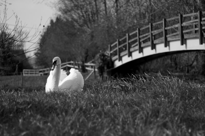 Henny Swan Exterior Photography